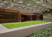 Sustainability Policy Sustainability Policy